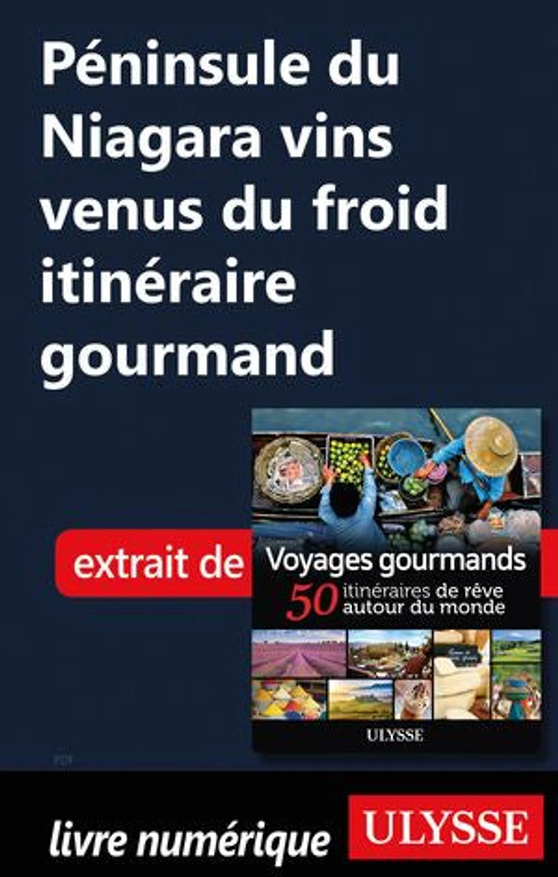 Voyages gourmands: 50 itinéraires de rêve autour du monde