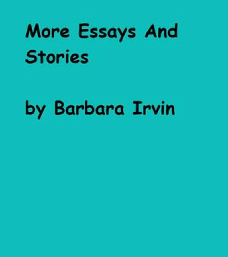More Essays And Stories