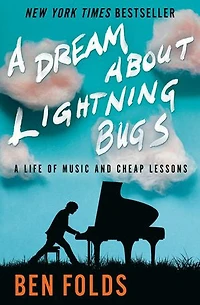 A Dream About Lightning Bugs: Life Of Music And Cheap Lessons