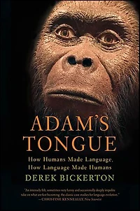 Adam's Tongue: How Humans Made Language, Language