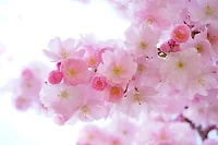 A collection of poems from the heart
