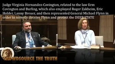 AMICUS BRIEF: The Secret Mission of General Michael Flynn