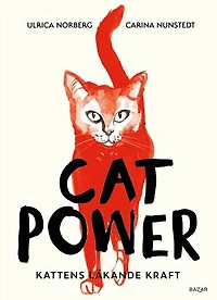 CAT POWER : Kattens läkande kraft