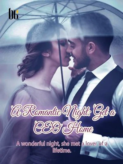 A Romantic Night: Get a CEO Home: Volume 9