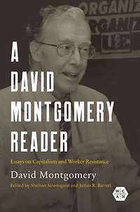 A David Montgomery Reader: Essays on Capitalism and Worker Resistance