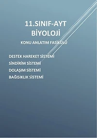 11.SINIF-AYT-BİYOLOJİ-İNSAN FİZYOLOJİSİ-2 KONU ANLATIM