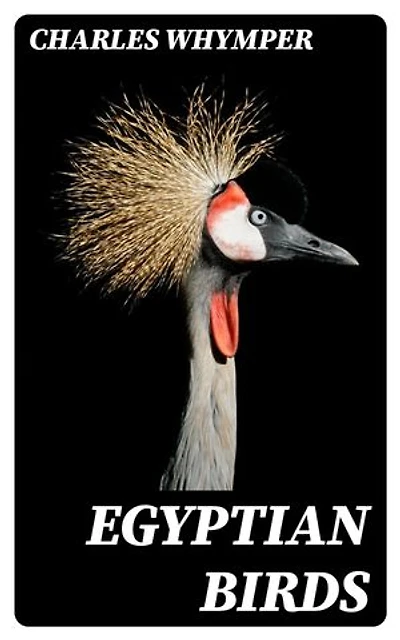 Egyptian Birds: For the most part seen in the Nile Valley