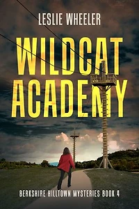 Wildcat Academy