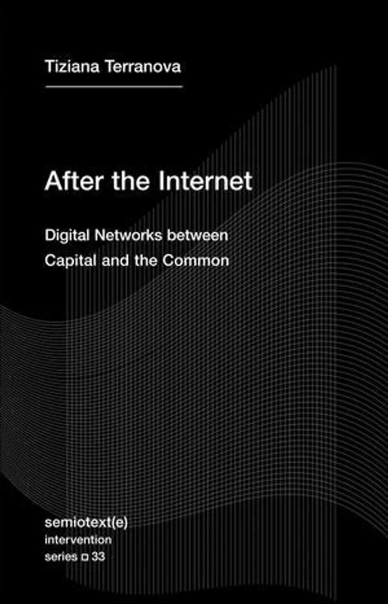 After the Internet: Digital Networks between Capital and Common