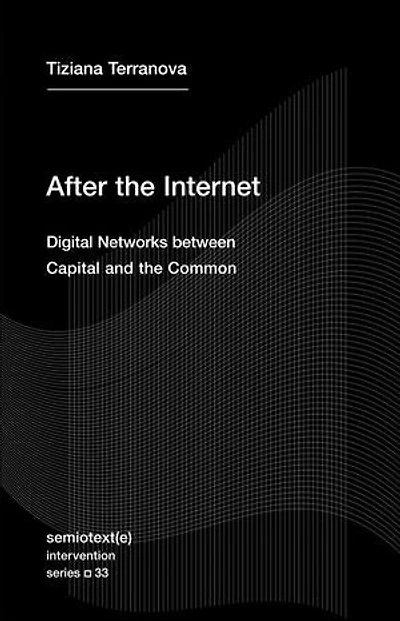 After the Internet: Digital Networks between Capital and Common