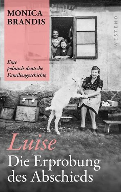 Luise. Die Erprobung des Abschieds: Eine polnisch-deutsche Familiengeschichte