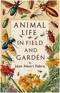 Animal Lifeinfield And Garden