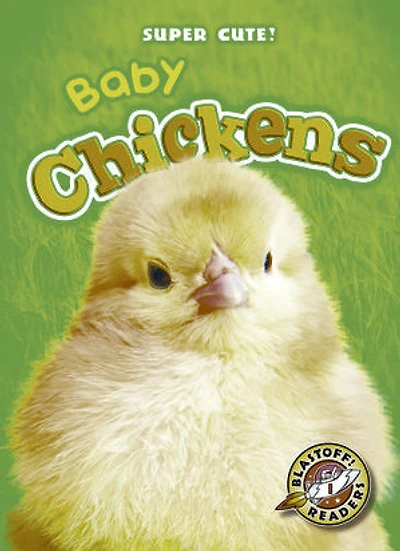 Baby Chickens