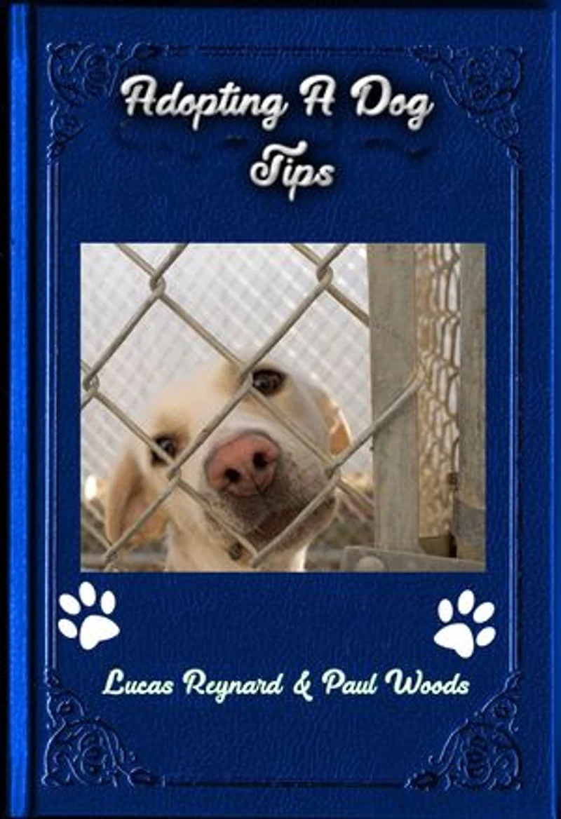 Adopting A Dog Tips