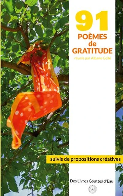 91 poèmes de gratitude: suivis de propositions créatives