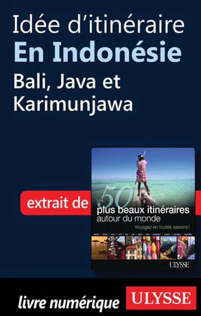 50 PLUS BEAUX ITINÉRAIRES AUTOUR DU MONDE (LES)