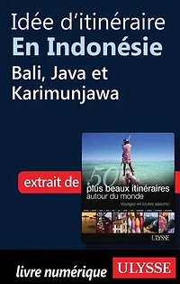 50 PLUS BEAUX ITINÉRAIRES AUTOUR DU MONDE (LES)