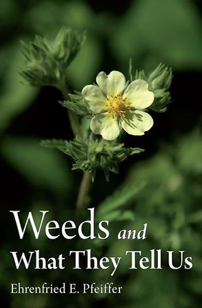 Weeds And What They Tell Us
