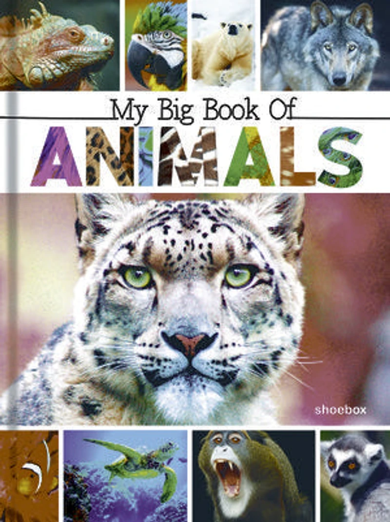 My Big Book of Animals