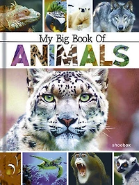My Big Book of Animals