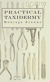 Practical Taxidermy - a Manual of Instruction To the Amateur Collecting, Preserving, and Setting up Natural History Specimens All Kinds. Which is Added Chapter Upon Pictorial Arrangement Museums