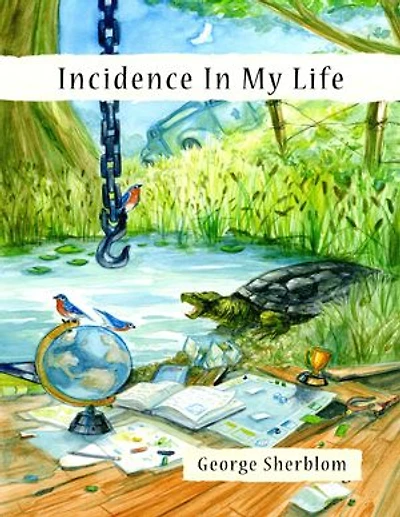 Incidence In My Life