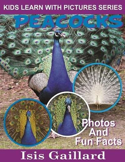Peacocks Photos and Fun Facts for Kids: Kids Learn With Pictures, #19