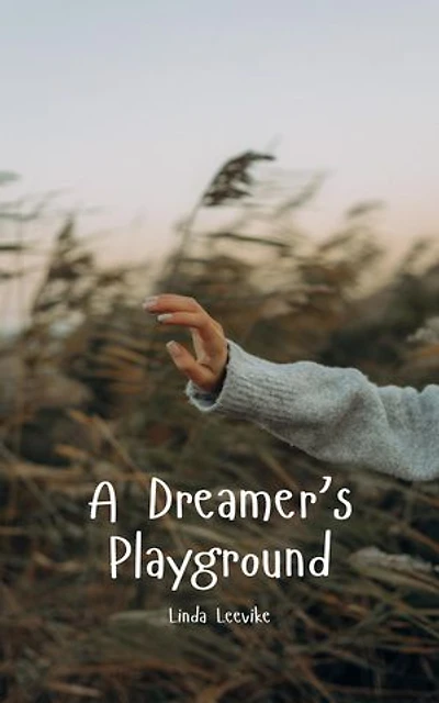 A Dreamer's Playground