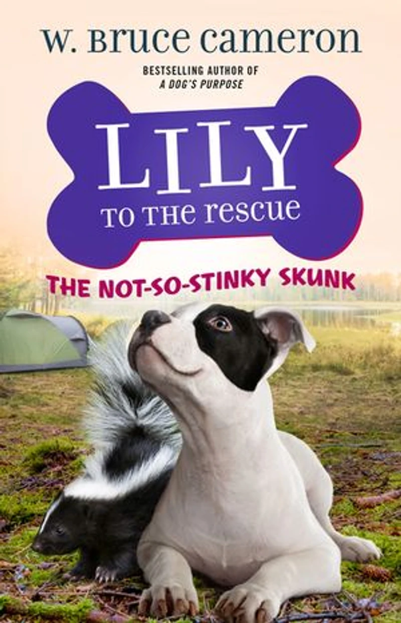 Lily To The Rescue: Not-so-stinky Skunk