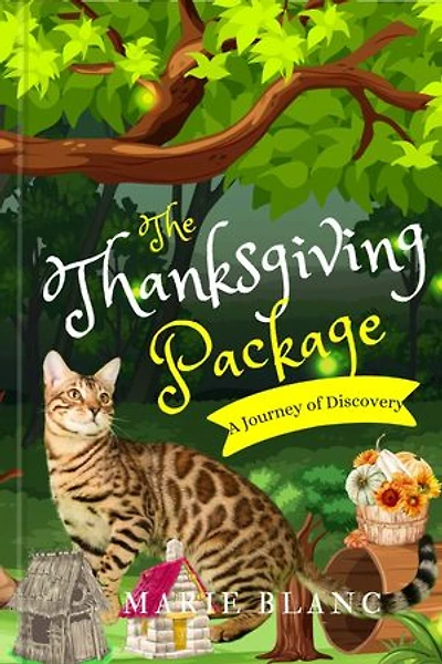 THE THANKSGIVING PACKAGE: A Journey of Discovery