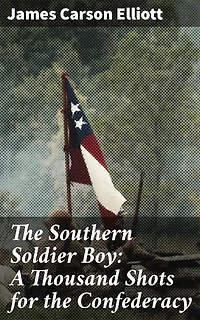 The Southern Soldier Boy: A Thousand Shots for the Confederacy: Enriched edition. A Confederate Soldier's Harrowing Journey Through Civil War