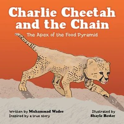Charlie Cheetah and the Chain: The Apex of the Food Pyramid