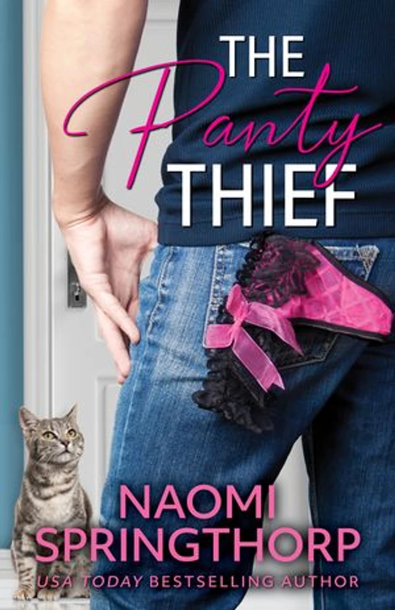 The Panty Thief