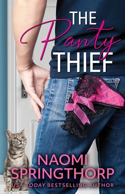 The Panty Thief