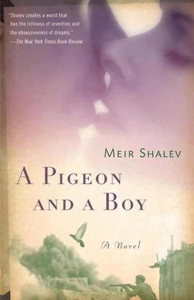 A Pigeon and Boy: Novel