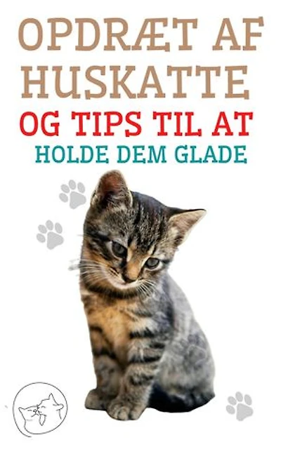 Opdræt af huskatte og tips til at holde dem glade: Den bedste guide til at forstå og elske din kat