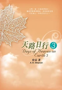 天路日行 3: Days of Heaven on Earth3