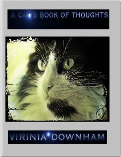 A Cat's Book of Thoughts