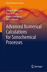 Advanced Numerical Calculations for Sonochemical Processes
