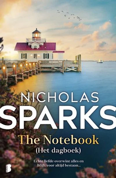 The Notebook (Het dagboek): Echte liefde overwint alles en blijft voor altijd bestaan…