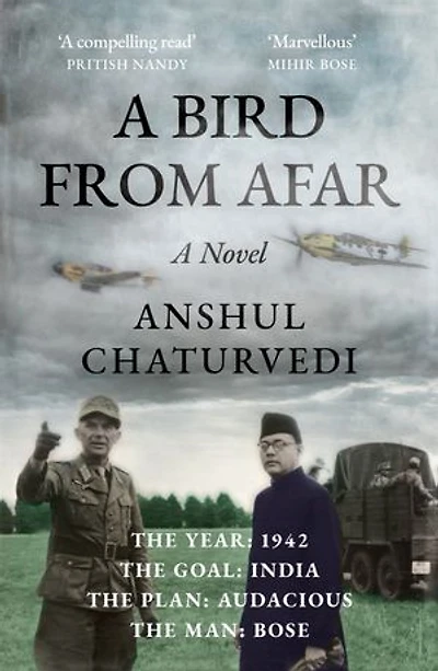 A Bird from Afar: A Novel