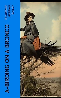 A-Birding on a Bronco