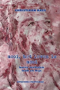 Mooi, het leven is mooi: korte verhalen leuk en wijs