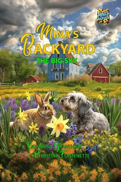 Mina's Backyard - The Big Sky