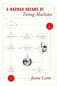 A Madman Dreams of Turing Machines