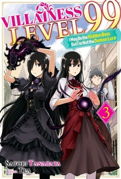 Villainess Level 99: I May Be the Hidden Boss but I'm Not the Demon Lord Act 3 (Light Novel)