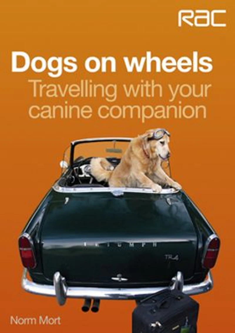 Dogs on wheels: Travelling with your canine companion