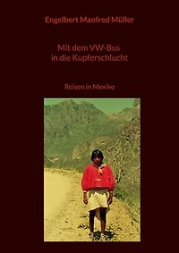 Mit dem VW-Bus in die Kupferschlucht: Reisen in Mexiko