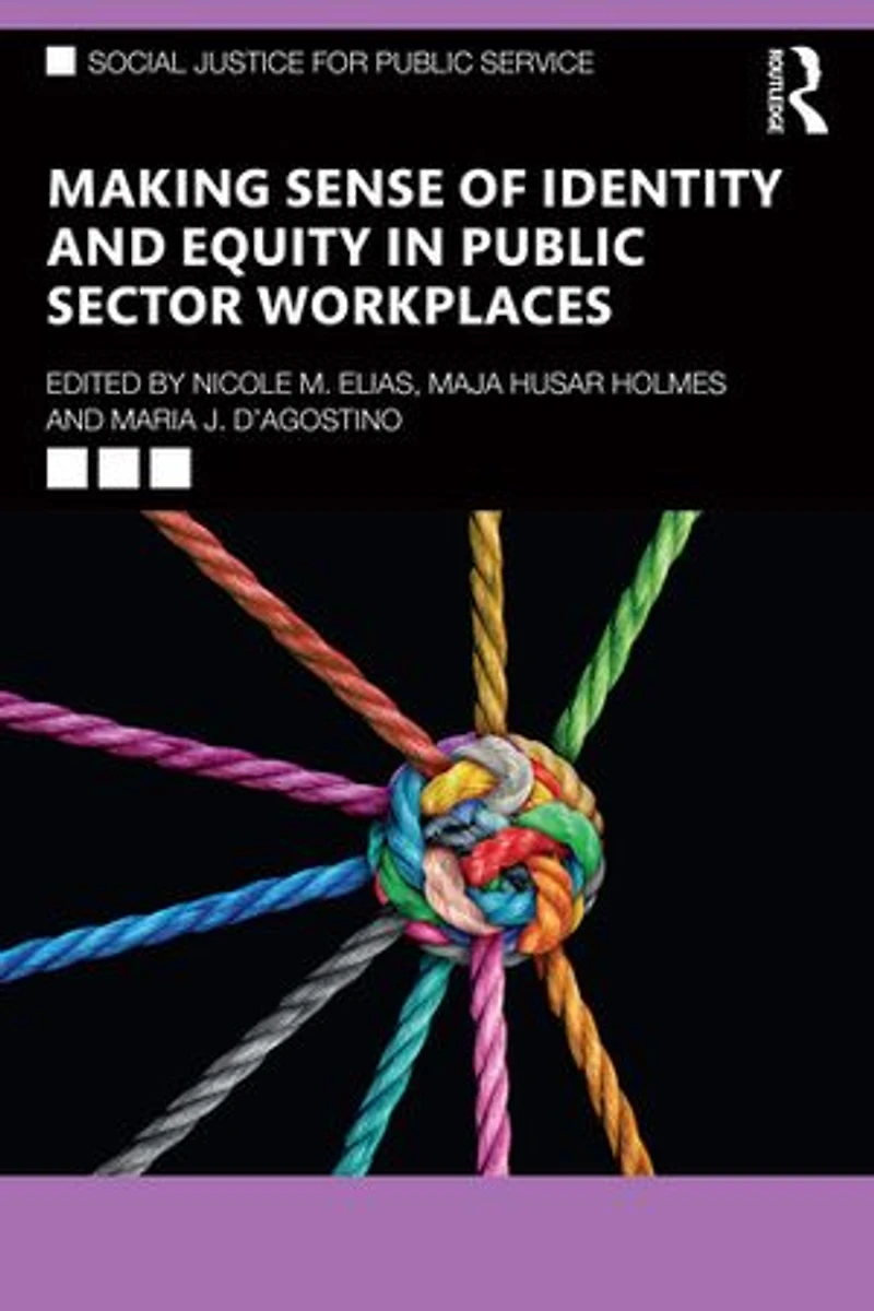 Making Sense of Identity and Equity Public Sector Workplaces
