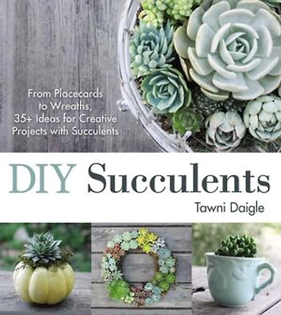 Diy Succulents: From Placecards To Wreaths, 35+ Ideas For Creative Projects With Succulents